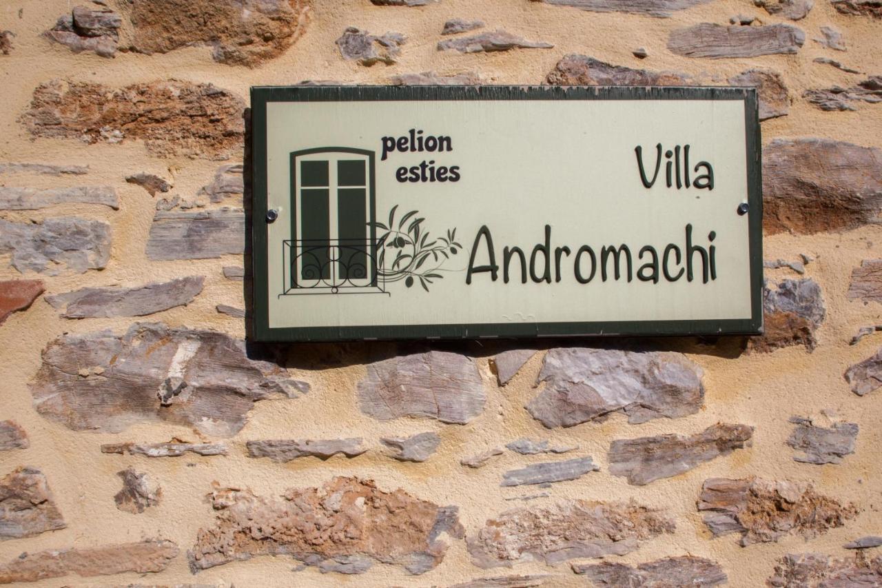 Villa Andromachi By Pelion Esties Áno Gadzéa Kültér fotó